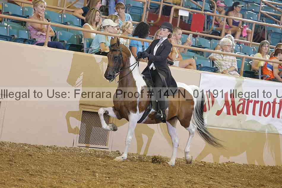Proof 14yn_01191