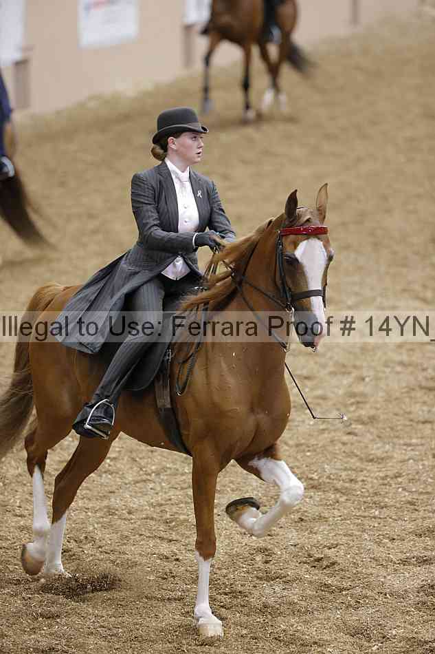 Proof 14yn_01195