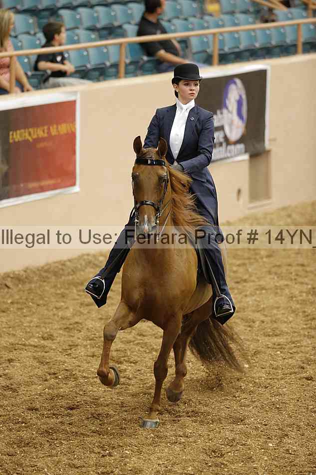 Proof 14yn_01196