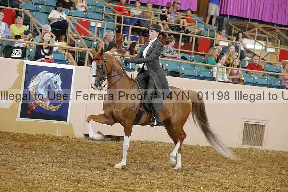 Proof 14yn_01198