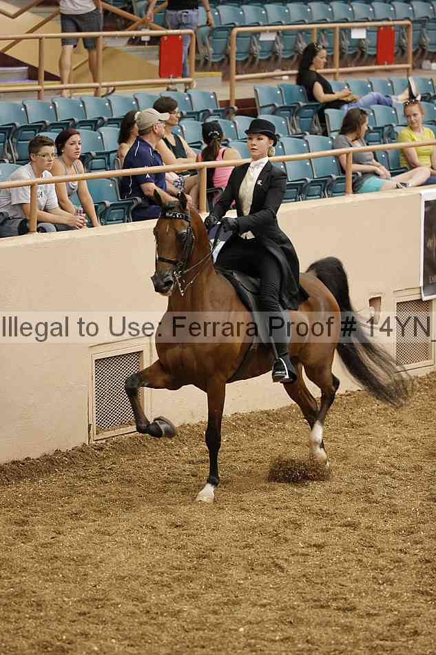 Proof 14yn_01199