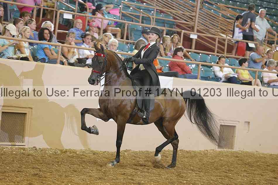Proof 14yn_01203