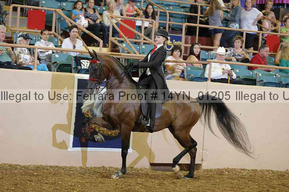 Proof 14yn_01205