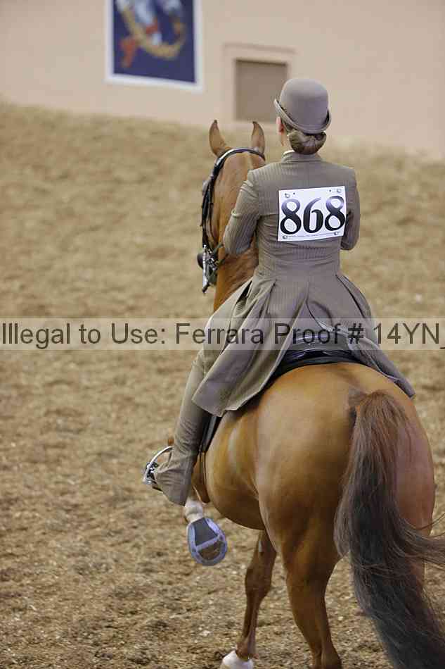 Proof 14yn_01206