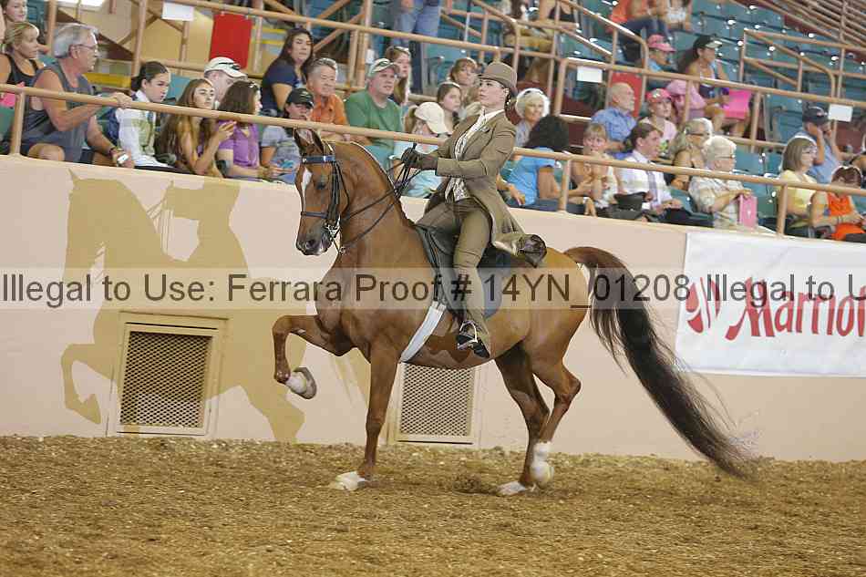 Proof 14yn_01208