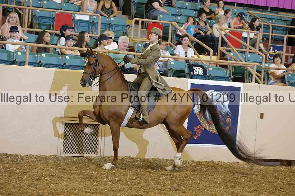Proof 14yn_01209