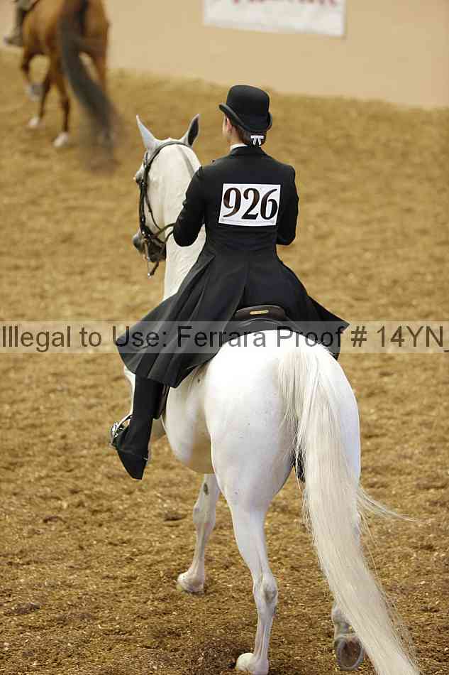 Proof 14yn_01210
