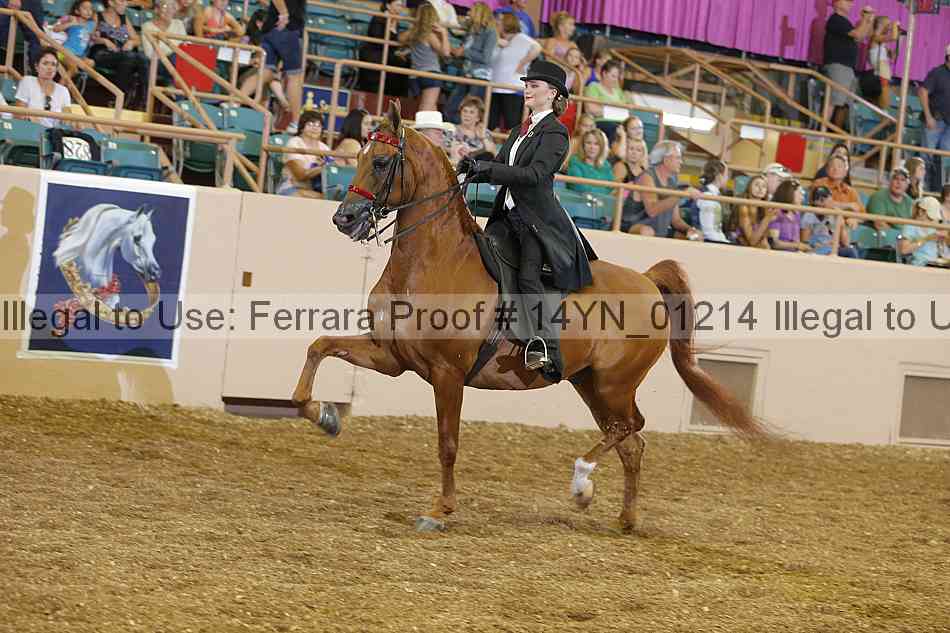 Proof 14yn_01214