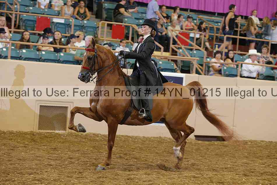 Proof 14yn_01215