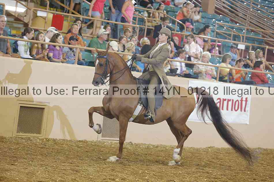 Proof 14yn_01218