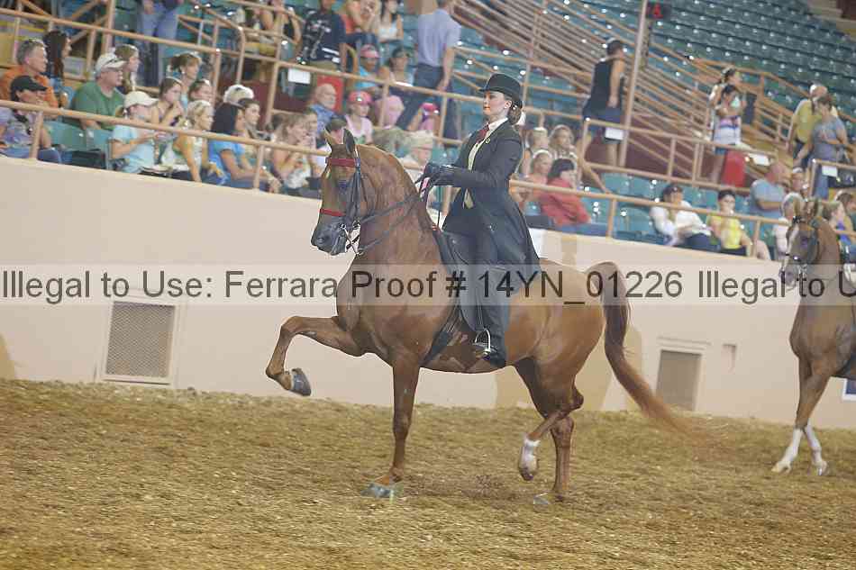 Proof 14yn_01226