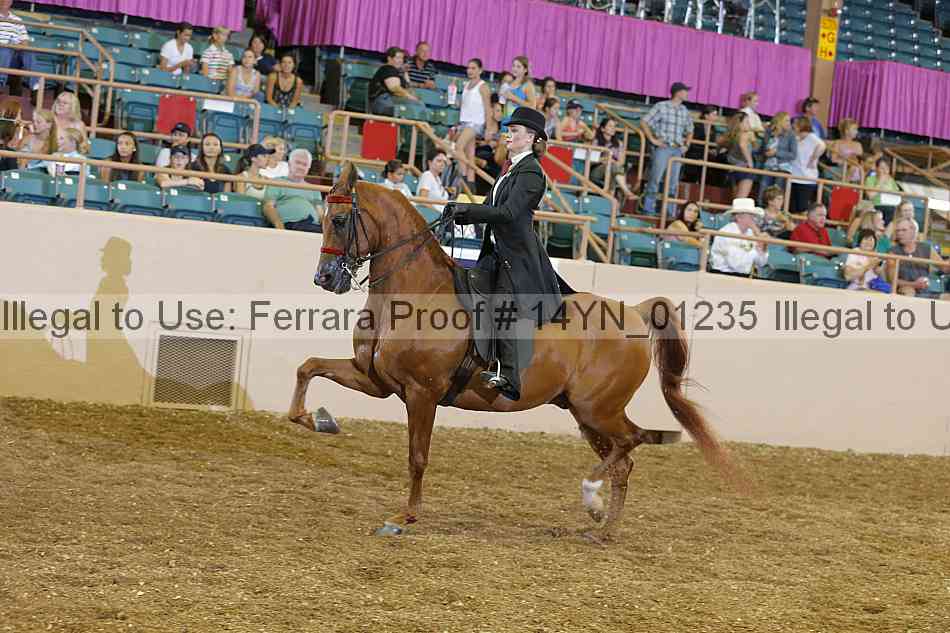 Proof 14yn_01235