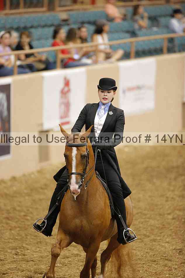 Proof 14yn_01238