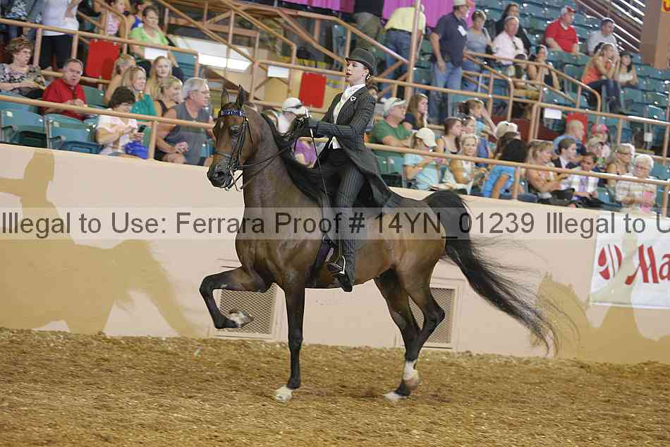 Proof 14yn_01239