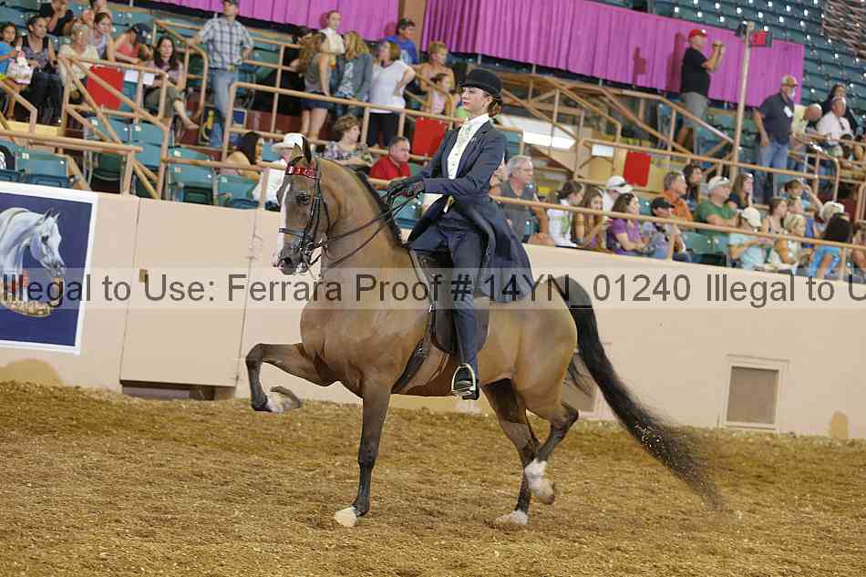 Proof 14yn_01240