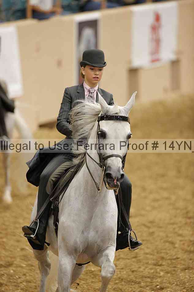 Proof 14yn_01241