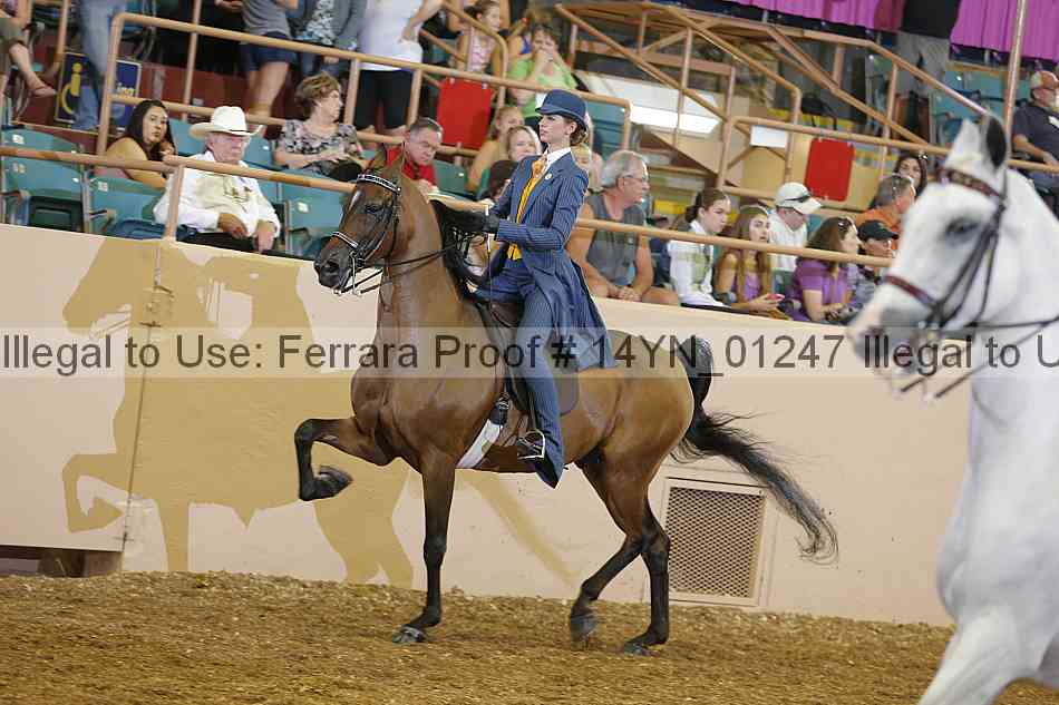 Proof 14yn_01247