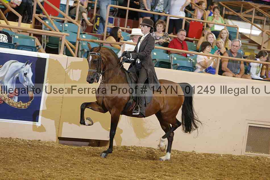 Proof 14yn_01249