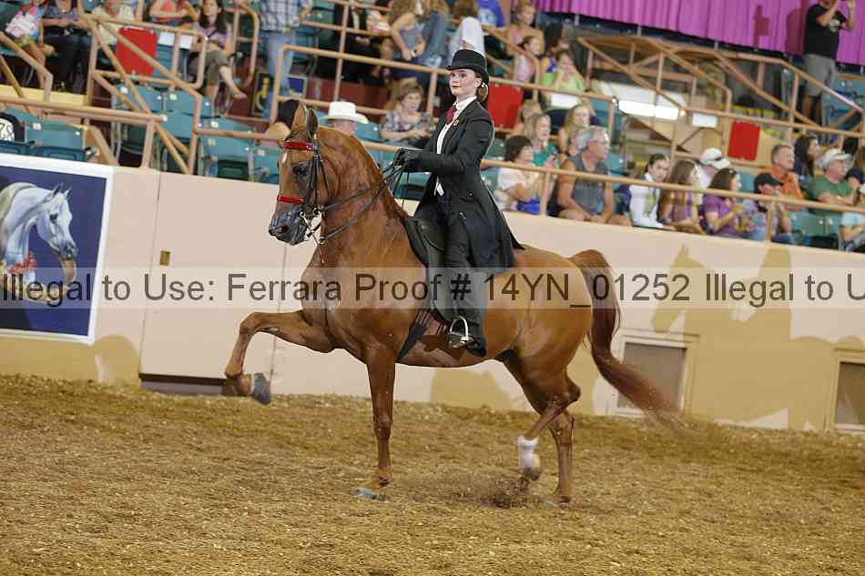 Proof 14yn_01252