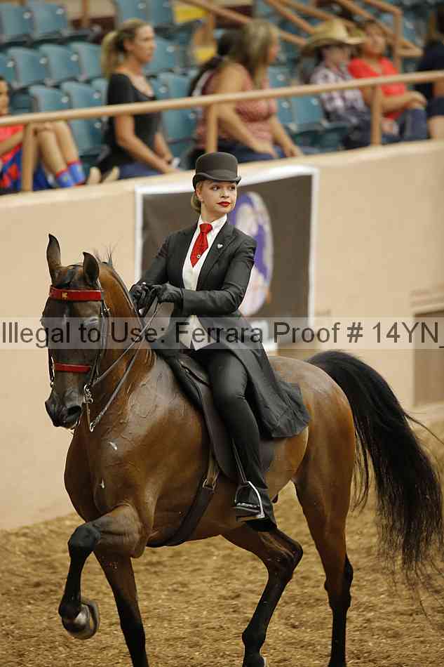 Proof 14yn_01253