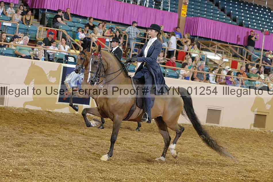 Proof 14yn_01254