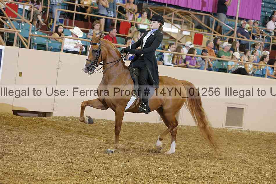 Proof 14yn_01256