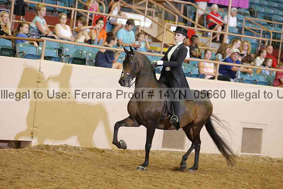 Proof 14yn_05660