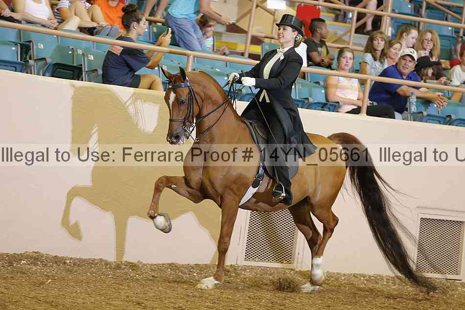 Proof 14yn_05661