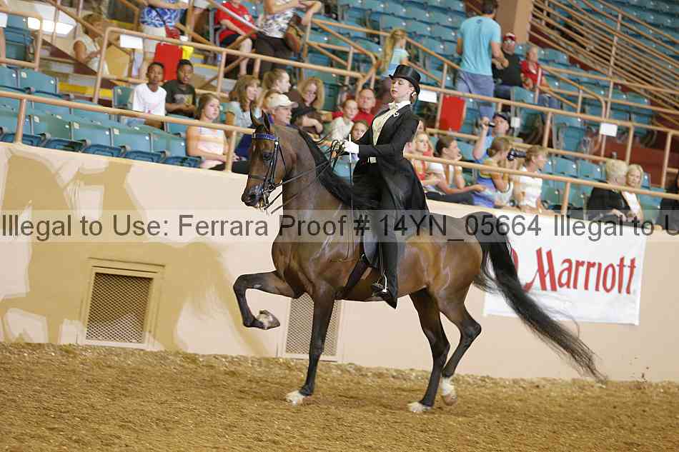 Proof 14yn_05664