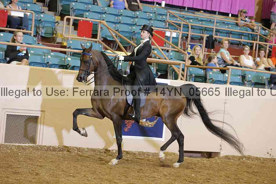 Proof 14yn_05665