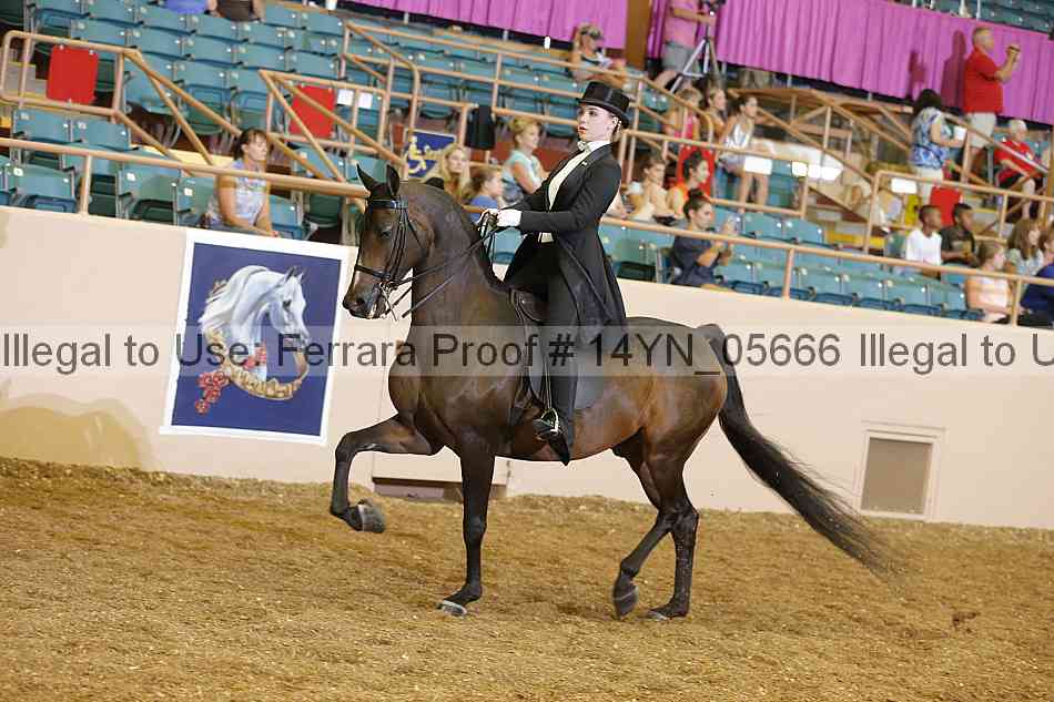 Proof 14yn_05666