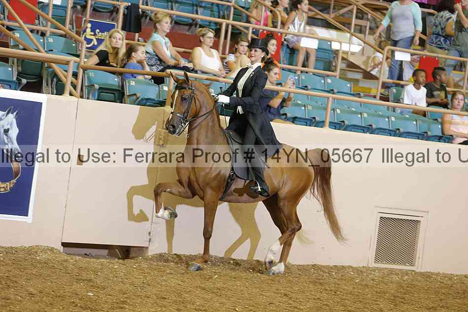 Proof 14yn_05667
