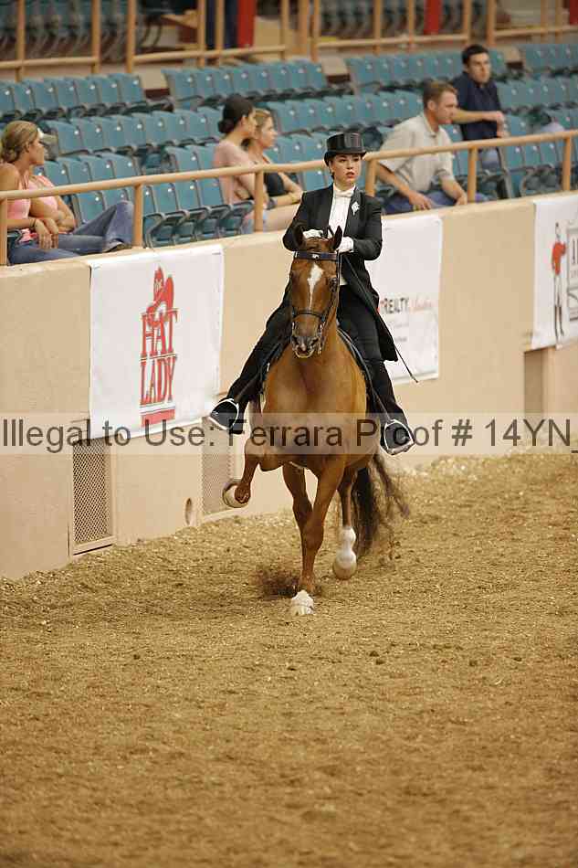 Proof 14yn_05668