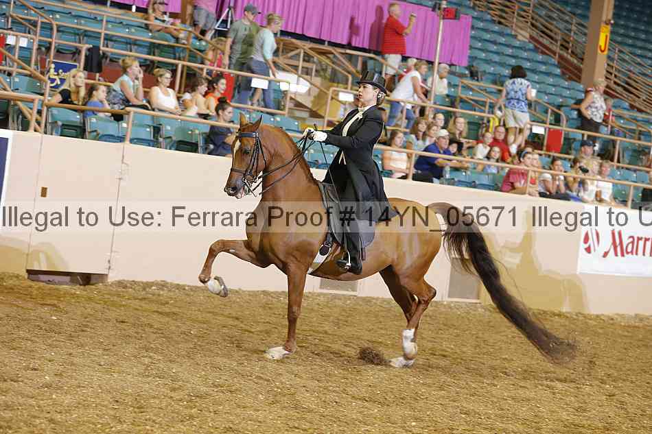 Proof 14yn_05671