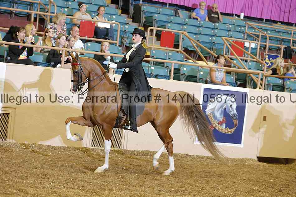Proof 14yn_05673
