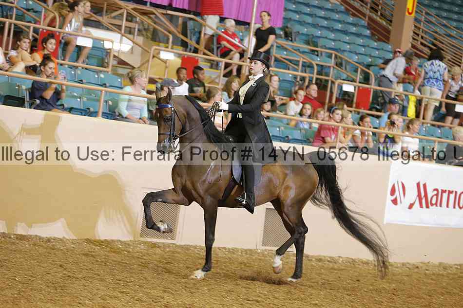 Proof 14yn_05678