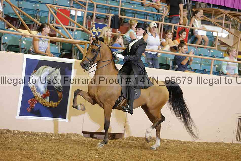 Proof 14yn_05679