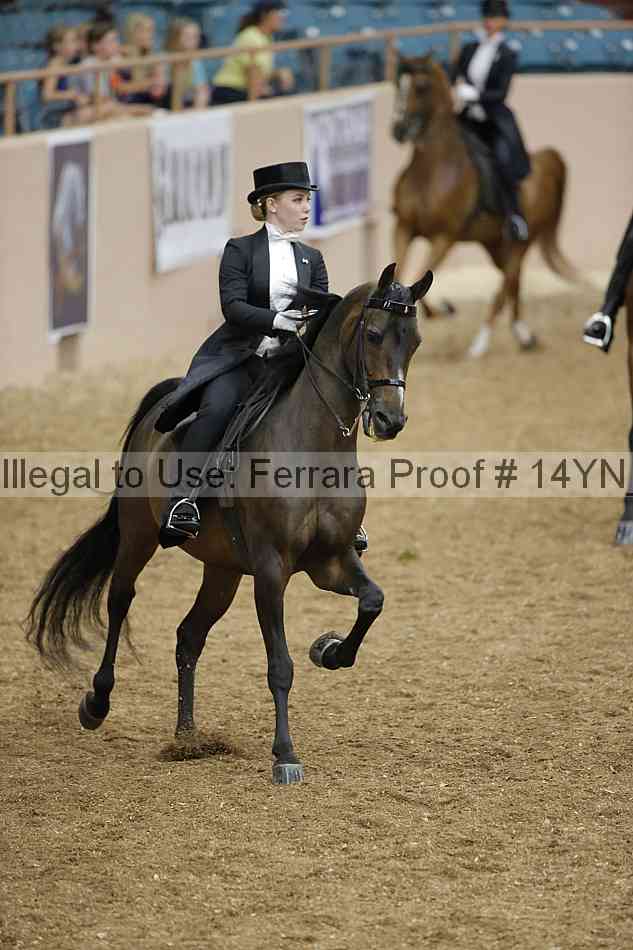 Proof 14yn_05680