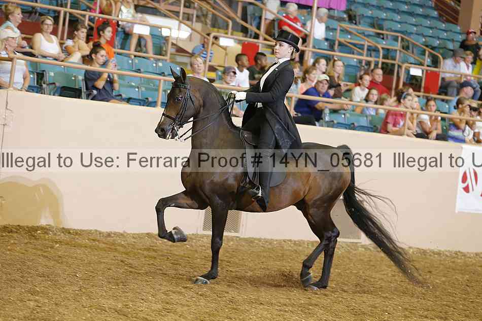 Proof 14yn_05681