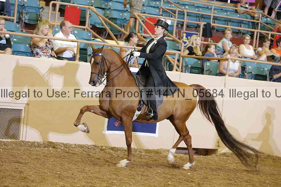 Proof 14yn_05684