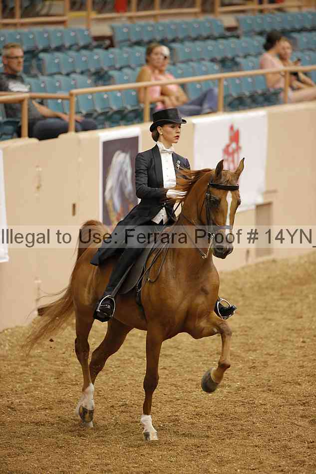 Proof 14yn_05685