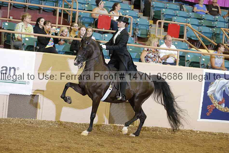 Proof 14yn_05686