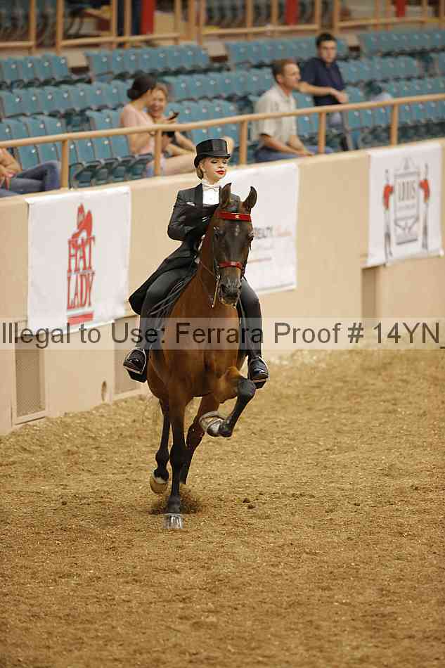 Proof 14yn_05687