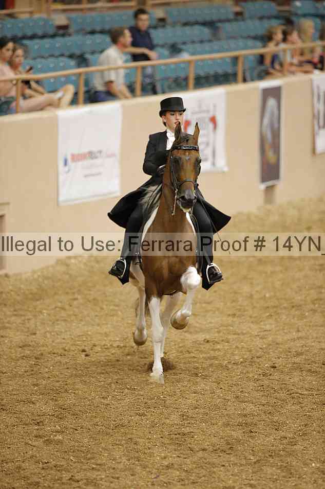 Proof 14yn_05690