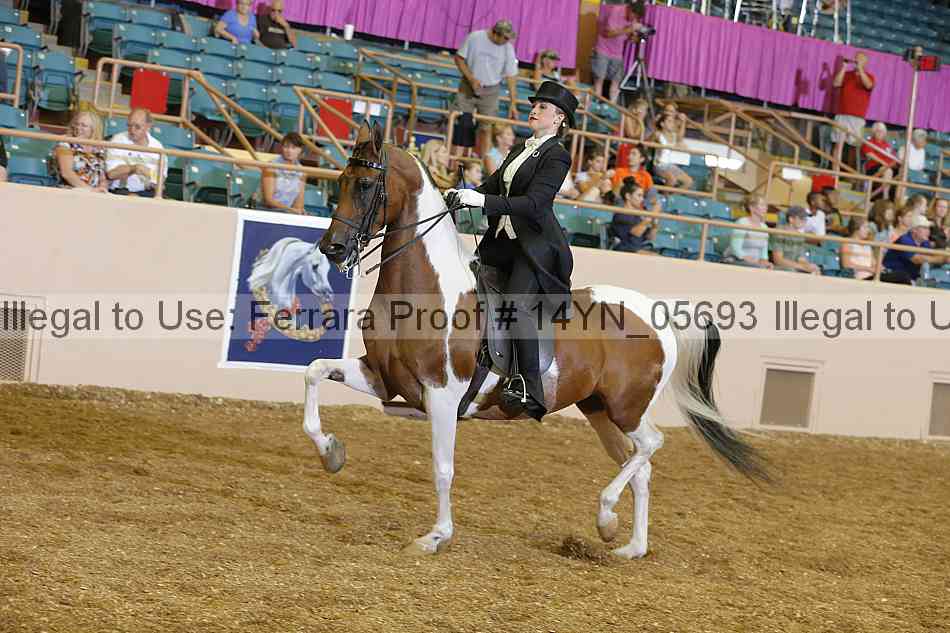 Proof 14yn_05693