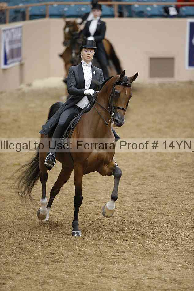 Proof 14yn_05694