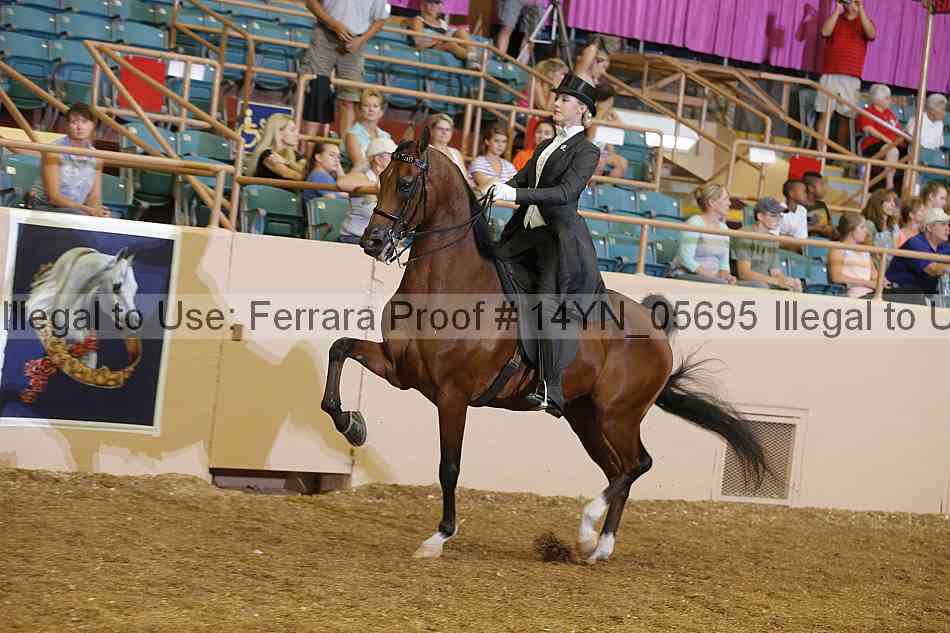 Proof 14yn_05695