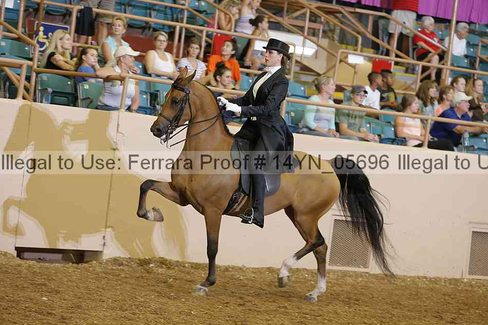 Proof 14yn_05696