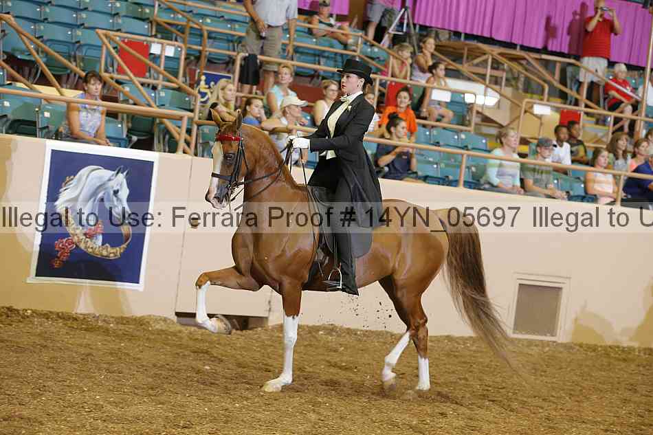 Proof 14yn_05697