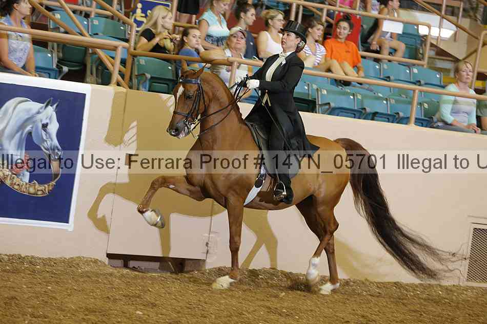 Proof 14yn_05701